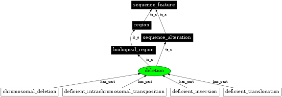 Graph image for SO:0000159