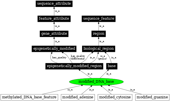 Graph image for SO:0000305