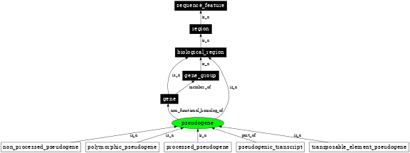 Graph image for SO:0000336