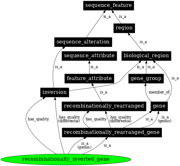 Graph image for SO:0000373