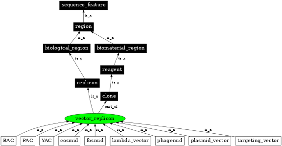 Graph image for SO:0000440