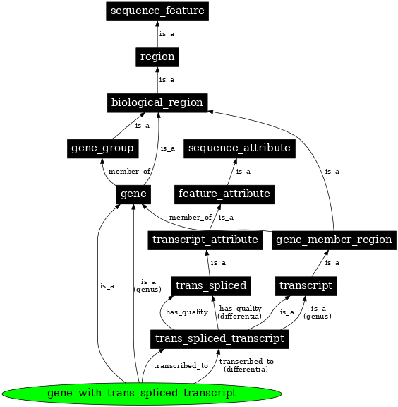 Graph image for SO:0000459