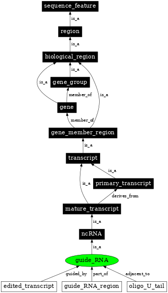 Graph image for SO:0000602