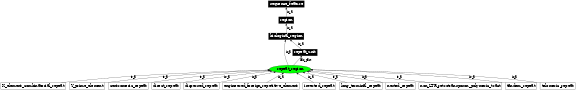 Graph image for SO:0000657