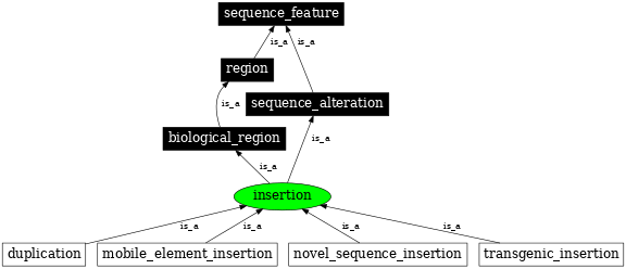 Graph image for SO:0000667