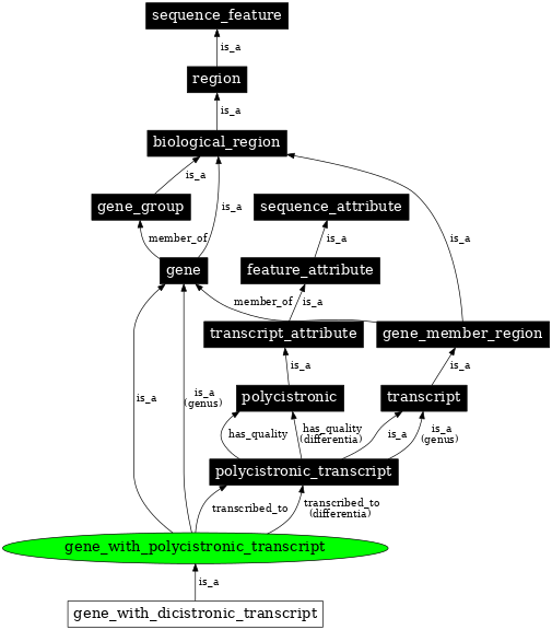 Graph image for SO:0000690