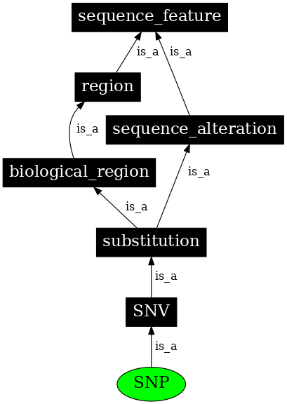 Graph image for SO:0000694
