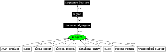 Graph image for SO:0000695