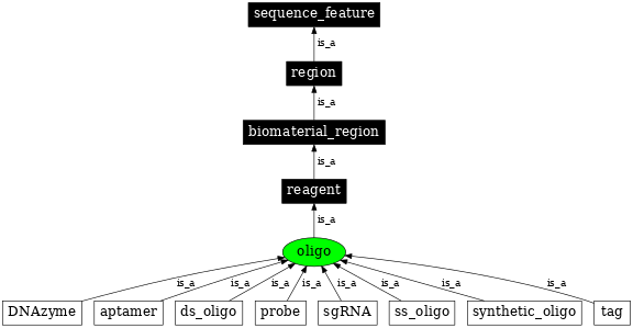 Graph image for SO:0000696