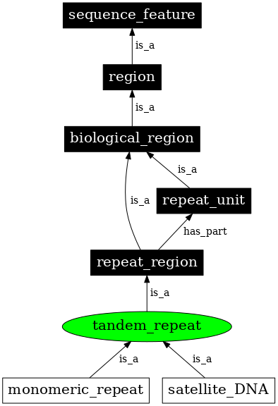 Graph image for SO:0000705