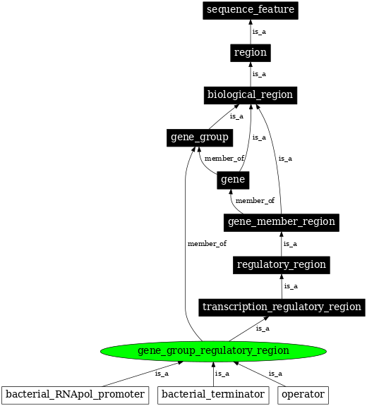 Graph image for SO:0000752
