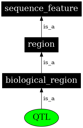Graph image for SO:0000771