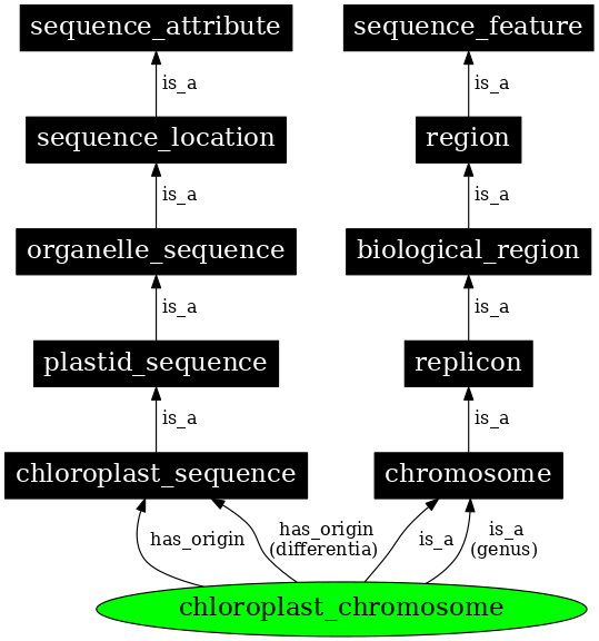 Graph image for SO:0000820