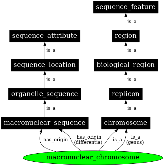 Graph image for SO:0000824