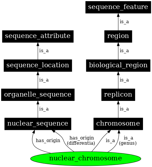 Graph image for SO:0000828
