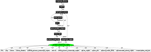 Graph image for SO:0000835