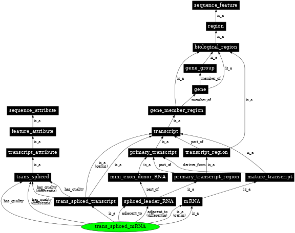 Graph image for SO:0000872