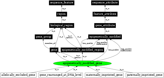 Graph image for SO:0000898