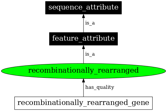 Graph image for SO:0000940