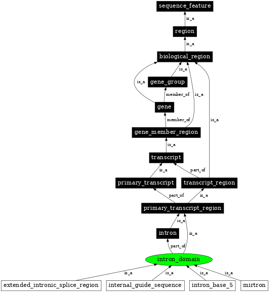 Graph image for SO:0001014