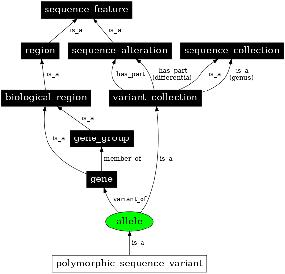 Graph image for SO:0001023