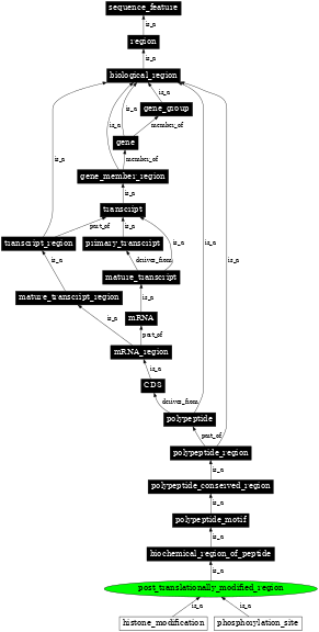 Graph image for SO:0001089