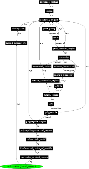 Graph image for SO:0001105