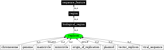 Graph image for SO:0001235