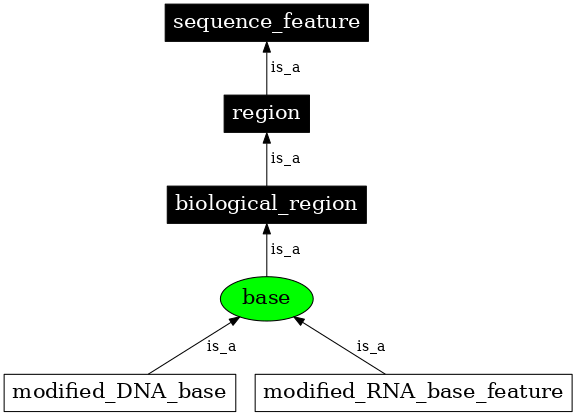 Graph image for SO:0001236