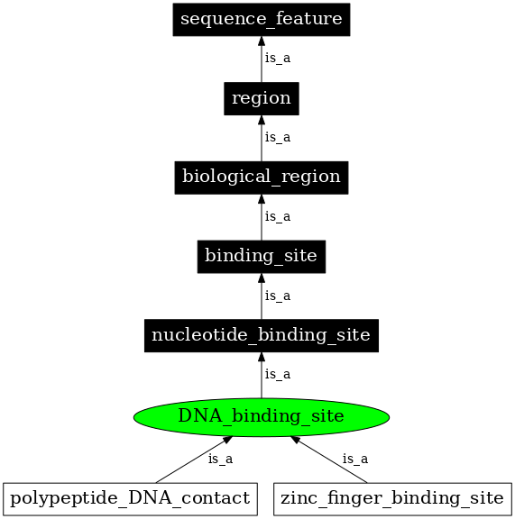 Graph image for SO:0001429