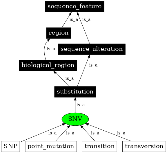 Graph image for SO:0001483