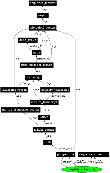 Graph image for SO:0001501