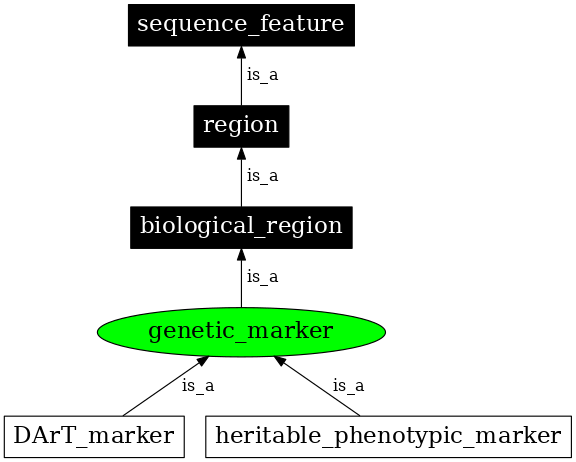 Graph image for SO:0001645