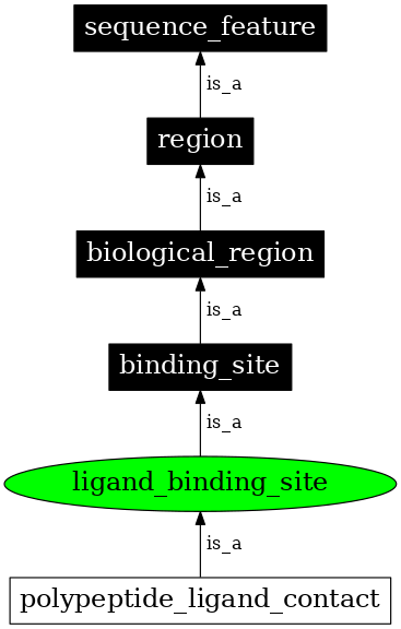 Graph image for SO:0001657