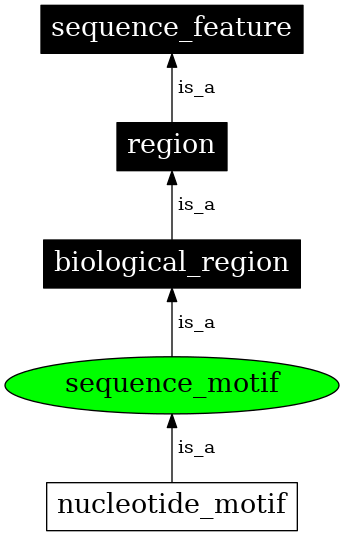 Graph image for SO:0001683