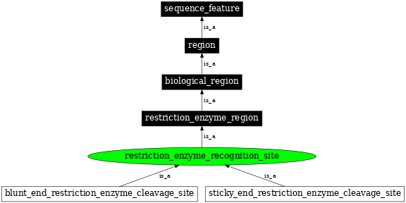 Graph image for SO:0001687