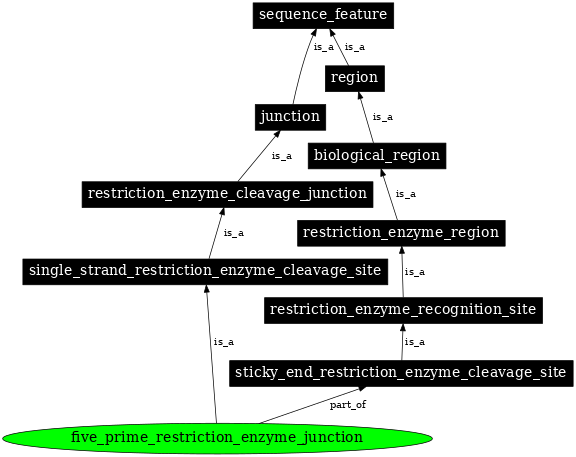 Graph image for SO:0001689