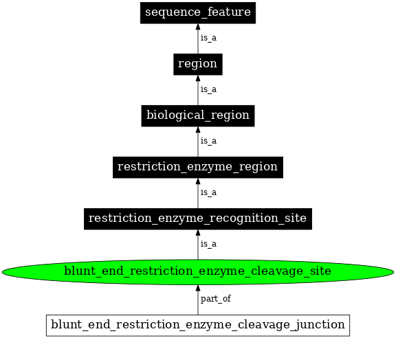 Graph image for SO:0001691