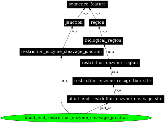 Graph image for SO:0001693