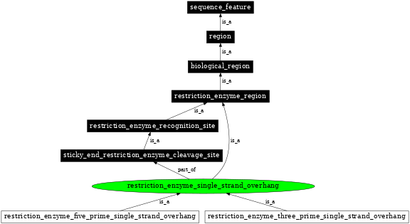 Graph image for SO:0001695