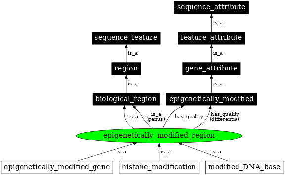 Graph image for SO:0001720