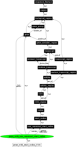 Graph image for SO:0001739