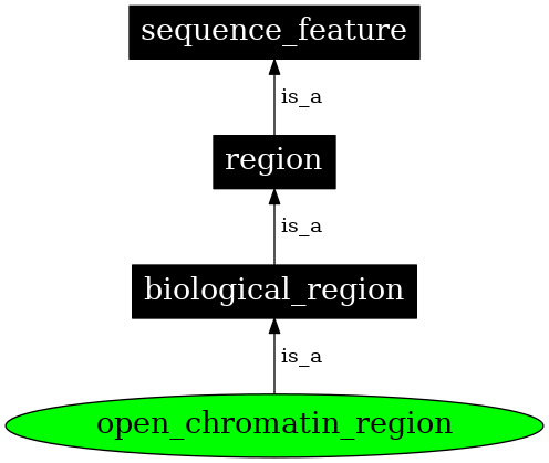 Graph image for SO:0001747