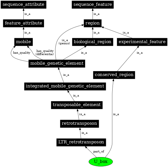 Graph image for SO:0001788