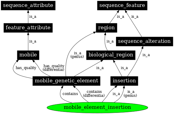 Graph image for SO:0001837