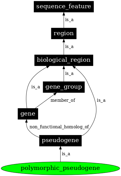 Graph image for SO:0001841