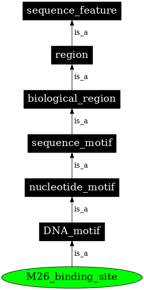 Graph image for SO:0001900