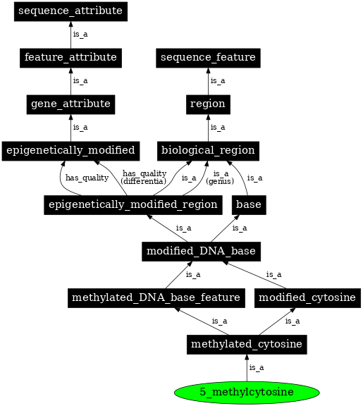 Graph image for SO:0001918