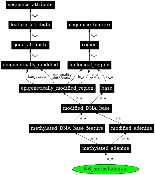 Graph image for SO:0001920