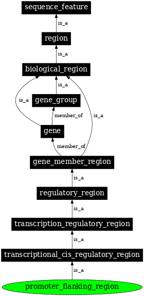 Graph image for SO:0001952